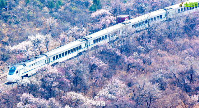 3 月旅行地推荐！这17 个地方春暖花开美到不像话，第一个直接心动