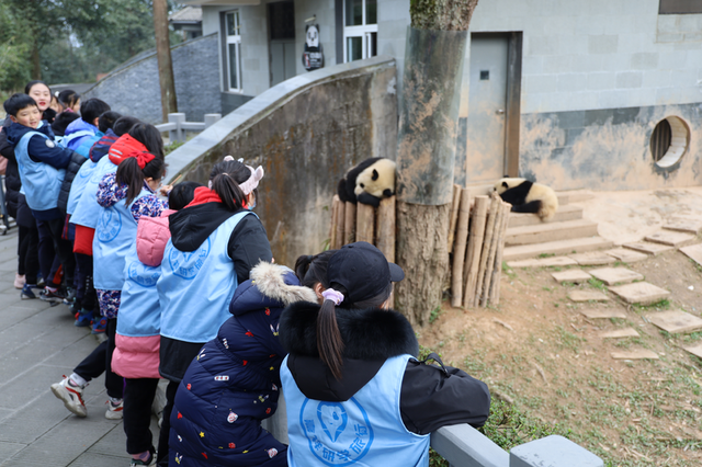 秋假研学锁定雅安 三条经典线路帮你安排