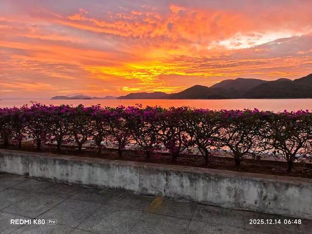 到沙头角看海上日出