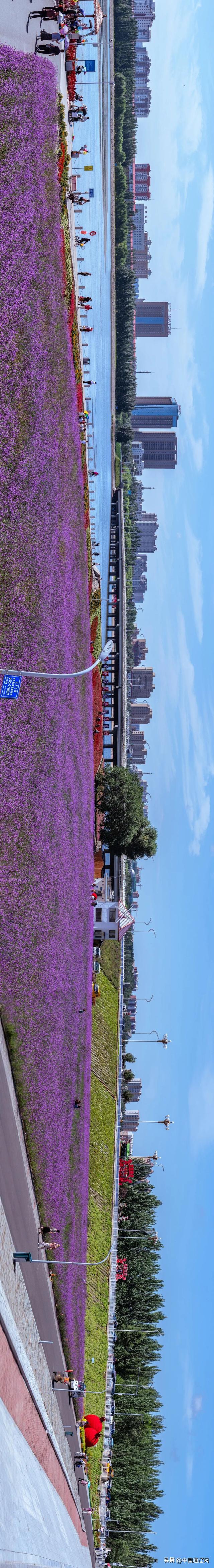 图看通辽 | 通辽，绝绝紫！