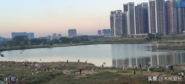 四会体育馆！千株格桑花盛放引万人打卡，全运会氛围藏着浪漫花海