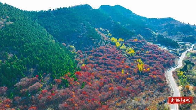 来九龙山，品尝咱钢城深秋的“鸳鸯火锅”