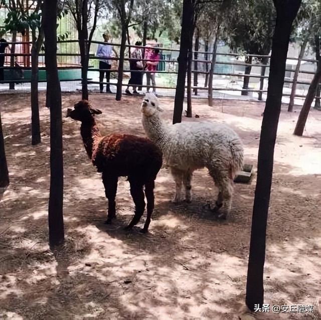 收藏贴！带您玩转潍坊的湖光水色