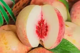 你都吃过什么桃子呢？哪一种是你心中最爱，你都认识几种桃子？图片