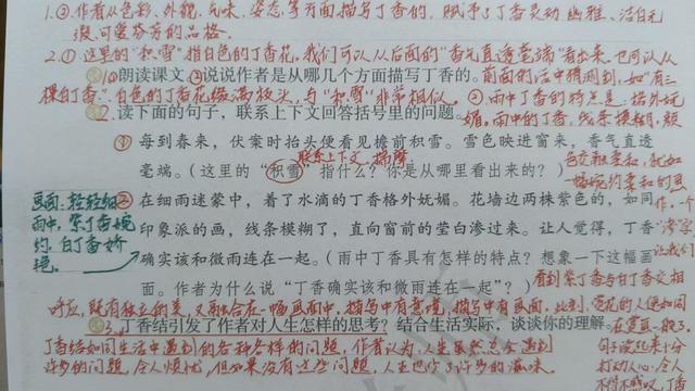 六年级上册第二课《丁香结》，资深教师手写笔记，帮助学生学语文