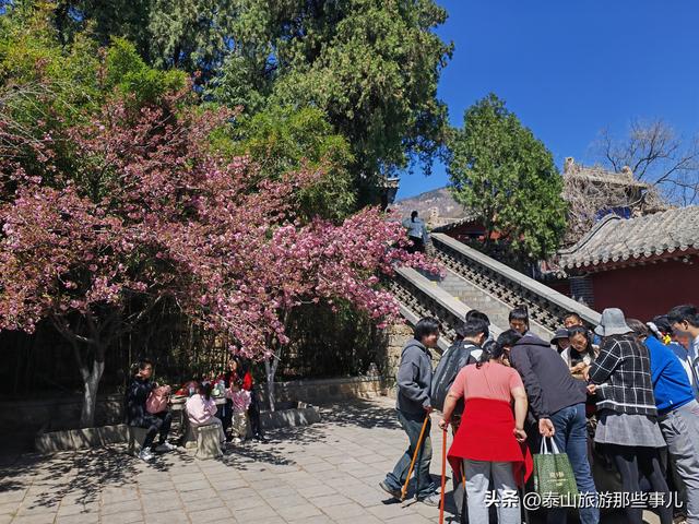 为什么登泰山一定要去一次红门宫？答案暗藏在1块碑刻3所建筑中