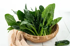 血压高别愁！这些蔬菜是“天然降压药”图片