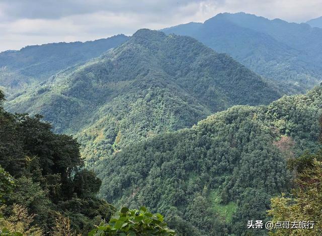 成都崇州徒步首选，被低估的森林路线，全部免费，风景超级惊艳！