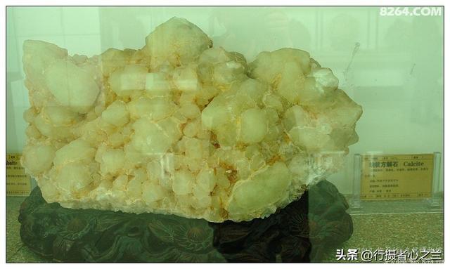 山东行游影记（31）—平邑天宇自然博物馆（六）