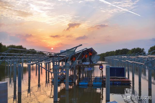 故乡美艳令人醉