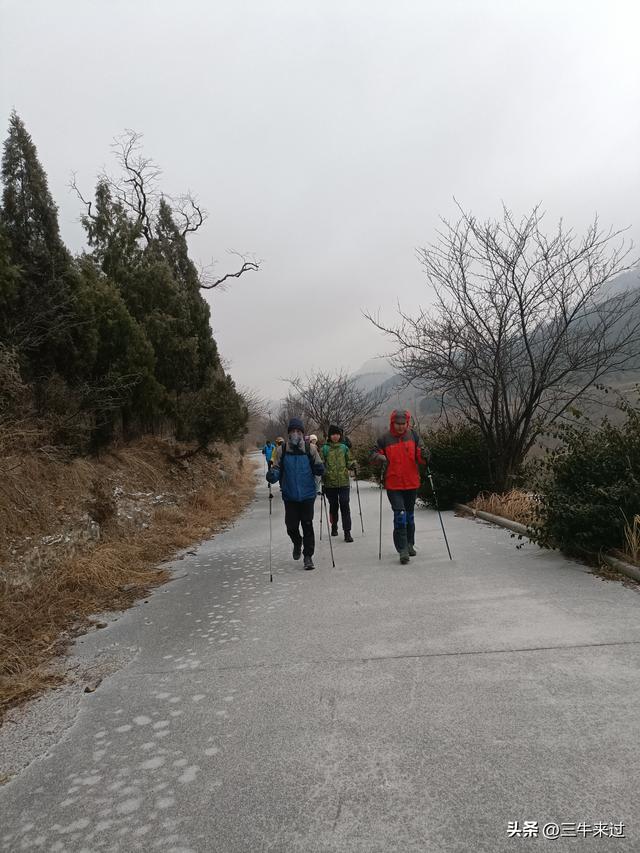 无为在歧路，何处寻雾凇