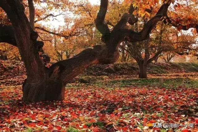 甘肃兰州，四大古镇