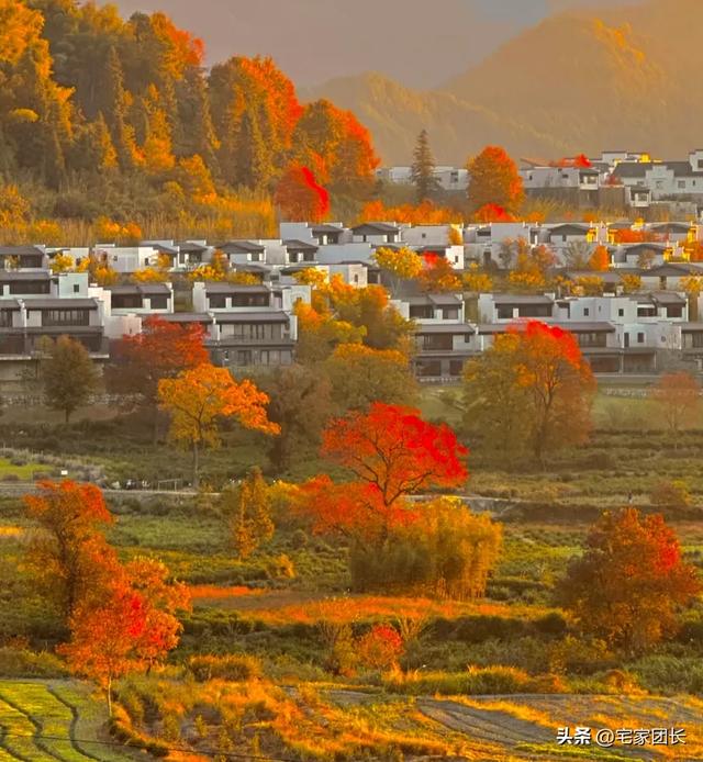 11月必冲！皖南82公里自驾线，承包安徽最绝秋色