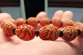 北方绿化带里的文玩乐趣—桃核（二）图片