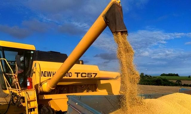 中方刚复购大豆！美国又变脸，美贸易代表通告全球，继续调查中国