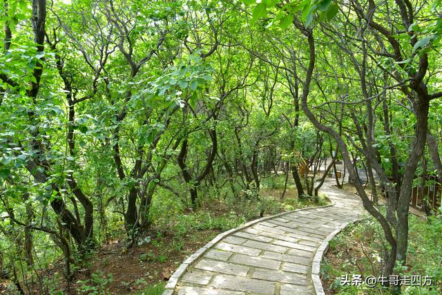 河北百草畔（上）：风动孤石悬险韵，蚁巡深岭蕴生机