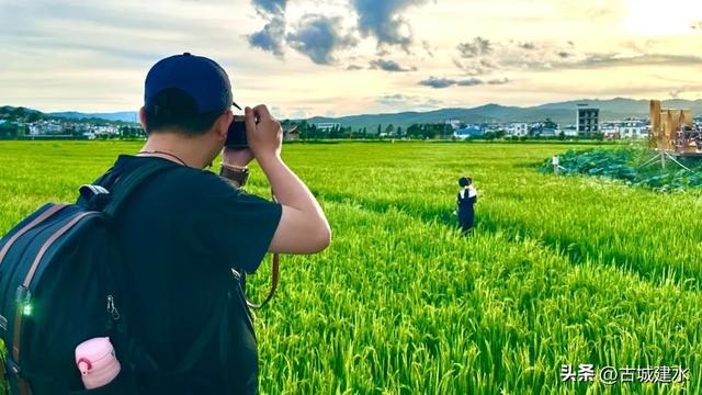 来稻田公园，赴一场与自然的温柔邂逅