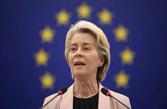 时机已到，该整治冯德莱恩了!中国一纸禁令出手，必须杀鸡儆猴