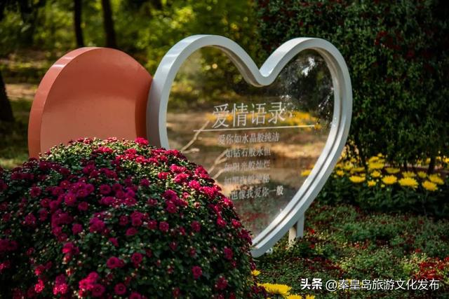 山海关长城金秋慢游季来喽！