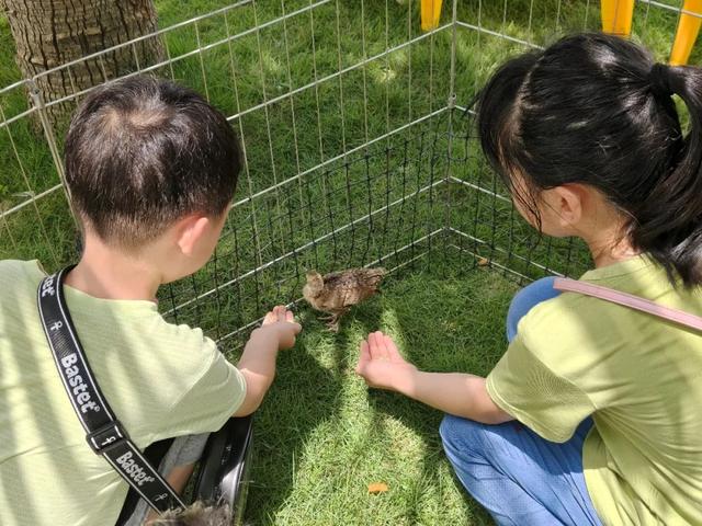 肇庆隐藏玩法大公开！暑假带娃这样玩，娃直呼“下次还来”