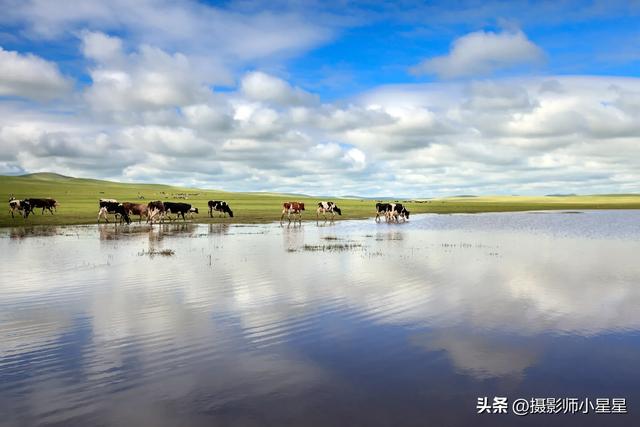 不去内蒙古大草原，你永远不知道它有多绝！