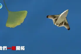破防！欧美不敢讨论中国六代机，东部战区的新年MV更有爆炸信息图片