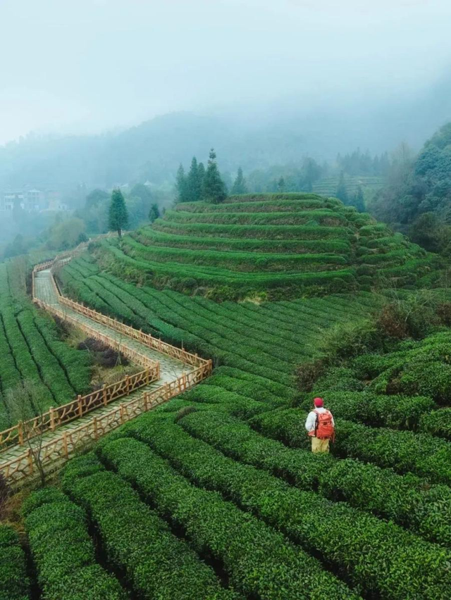 更适合毕业生体质的旅行，出发来雅安！