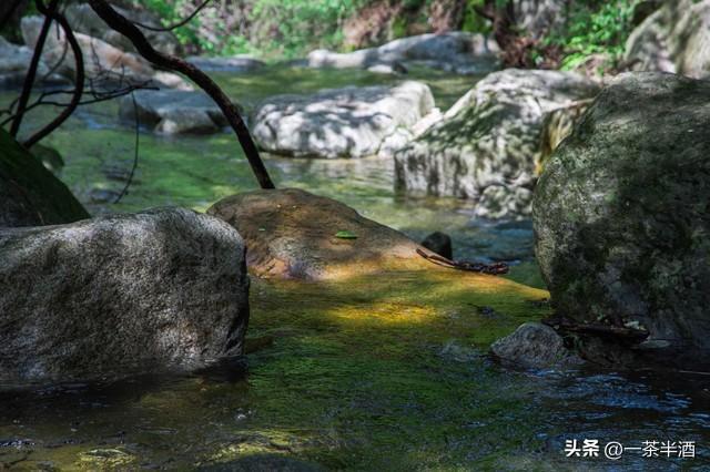 免费营地！福建南平市自驾游免费露营地，主要景点及特色美食