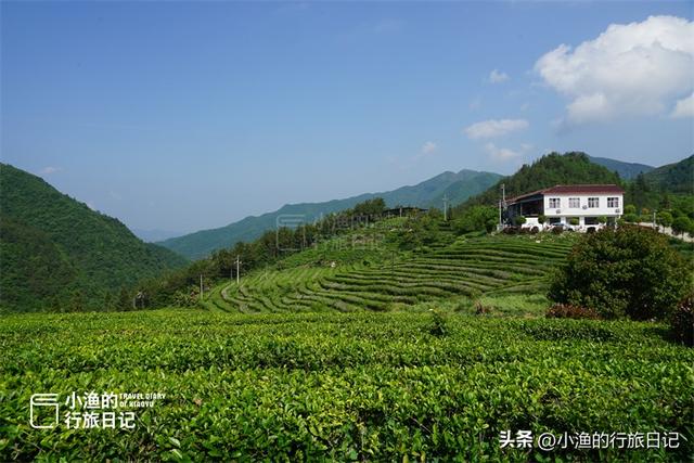 自驾210国道，飙到陕川交界！坠入绿野仙踪的秘境