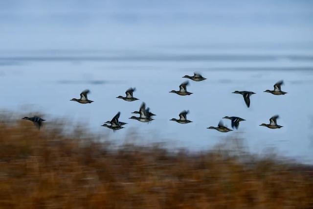 “中国最美县域”！长治沁源县上榜！
