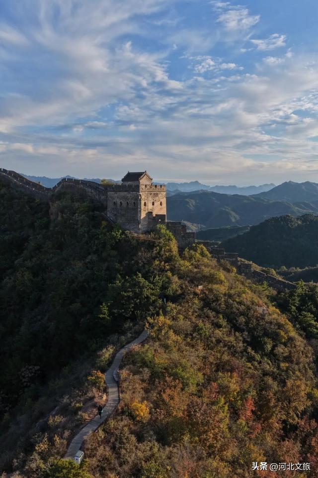 秋染金山岭，长城披红裳 ，醉美秋景正当时