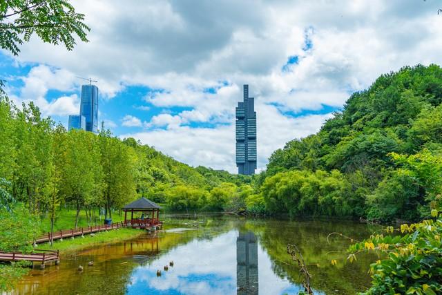 2025中国康养城市10强榜单出炉，海口第2，昆明第4！