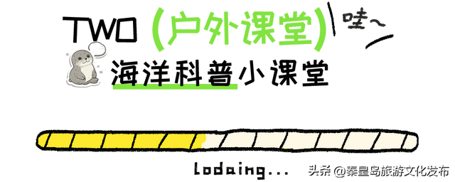国庆小长假，秦皇岛乐岛海洋王国游玩指南出炉！