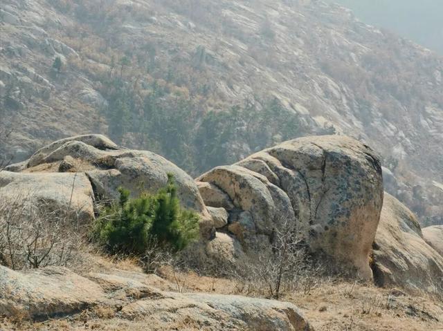 马谷田镇老庙沟奇石岭，可谓魅力无穷！