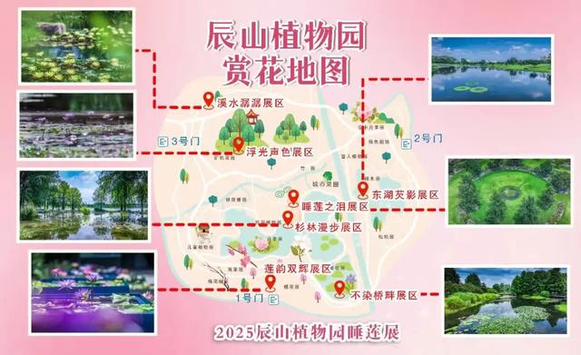 周五宠粉日｜运动赏景两不误！这份公园运动指南请查收，更有辰山植物园门票等你免费领
