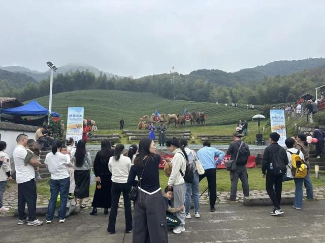 内蒙古“神兽”惊现绍兴茶山，成乡间“网红”→
