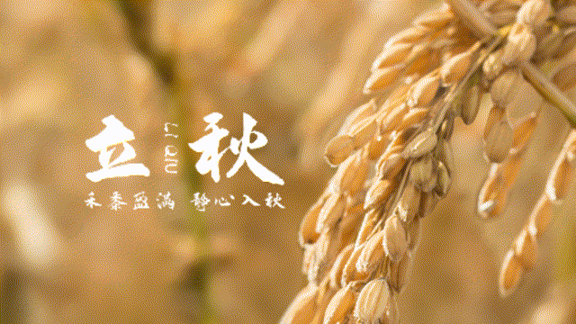 立秋丨踏叶听秋：城墙根下的时节