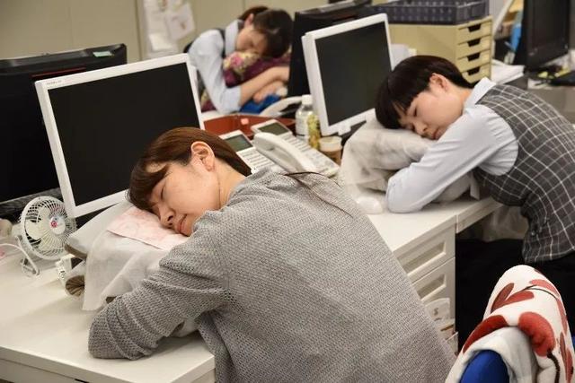 日本一老板曝光越南员工午睡现场！日本网友羡慕哭了…