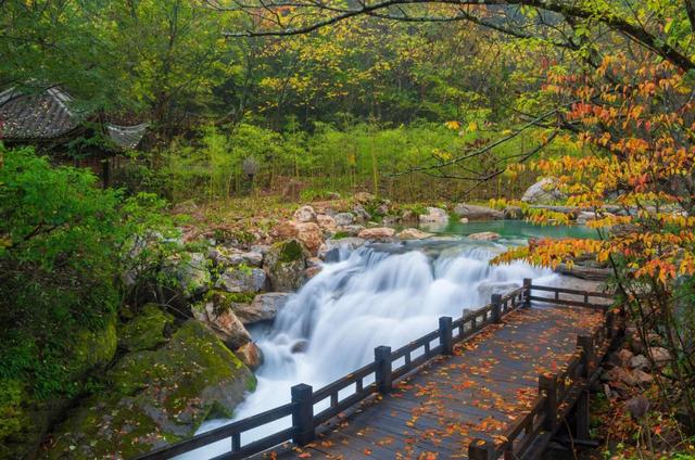 世界自然遗产、物种基因库、北纬31°绿色奇迹——神农架旅游攻略