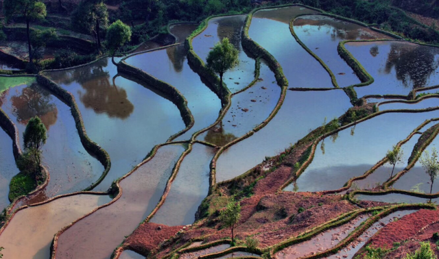 被红河州遗忘的明珠！红河县藏着马帮传奇，暖冬旅居绝了