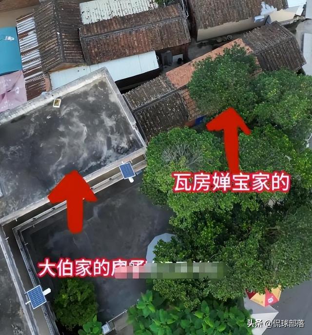 全红婵第二套房设计图曝光，院子划开大伯家界限	，内幕引人猜测