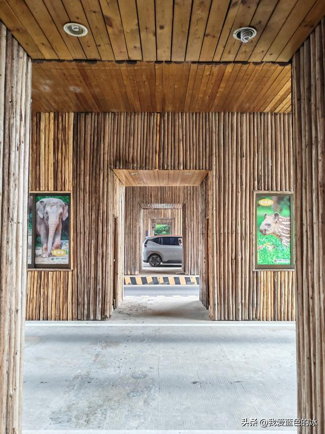 参观广州长隆野生动物园，全程感觉眼累手累腿不累