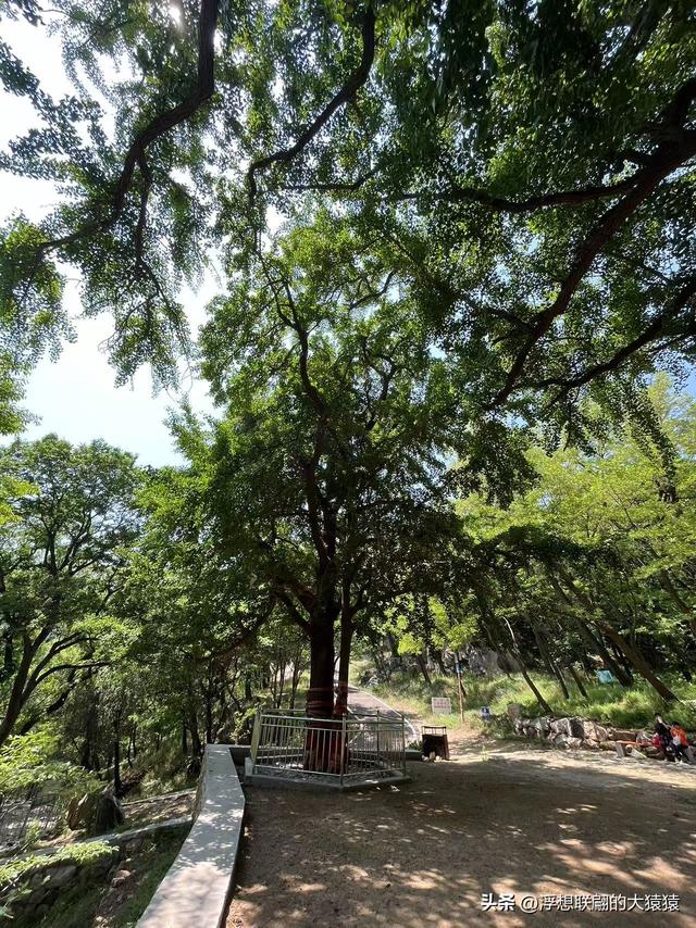 这回去莱芜爬山，目的地：永宁崮，却误打误撞又进了大舟院