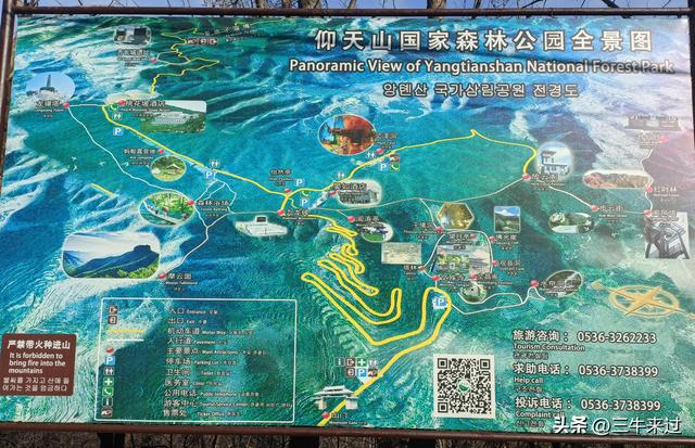 无为在歧路，免费仰天山