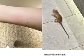 女子入住全季酒店，半夜被老鼠咬醒！酒店回应：愿意赔偿5000元，但要求投诉人不得以任何形式透露此事件图片