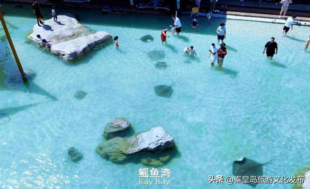 2025年度盘点（旅游篇）：新质生产力赋能全国滨海旅游目的地建设