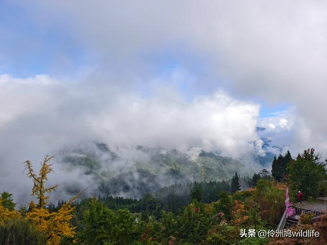 四川行(73)什邡红枫岭徒步到钟鼎寺