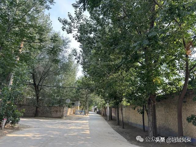 冠县乡韵·辛集镇丁刘八寨