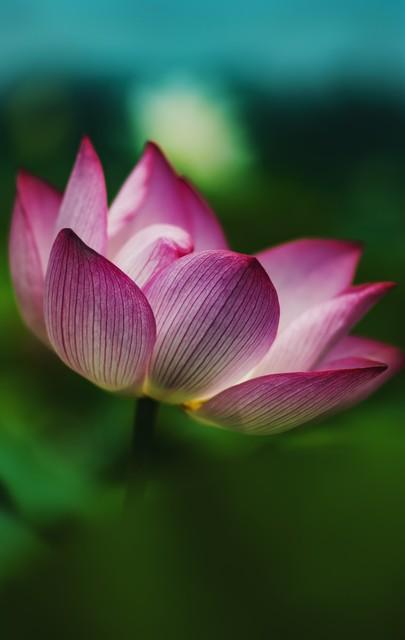 两性关系：牢牢记住这五个真相	，哪怕熬过再难的日子也能相守到老