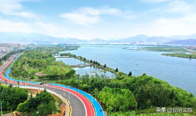 滇池度假区赏杏观鸥超级攻略！2025-2026跨年狂欢！40载人鸥情缘+百场活动承包暖冬